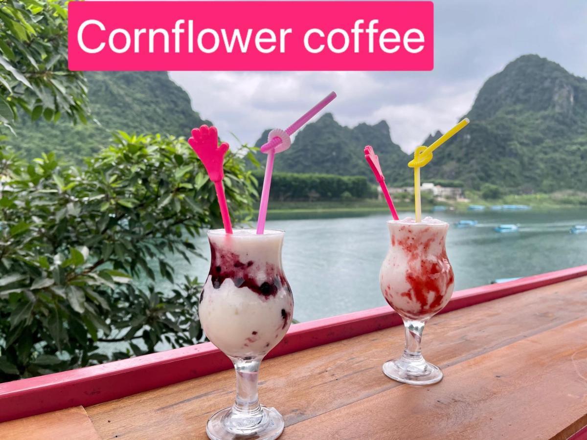 Cornflower Homestay Phong Nha Eksteriør bilde