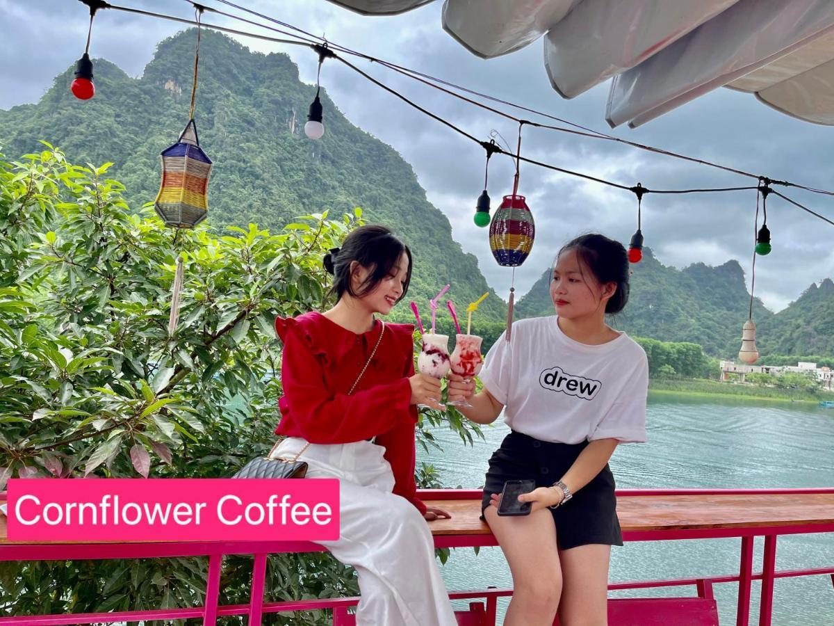 Cornflower Homestay Phong Nha Eksteriør bilde